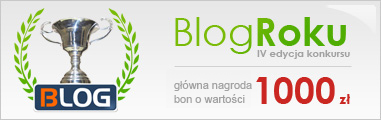 blog_roku_2013_wygrana